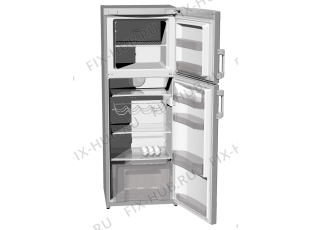 Холодильник Gorenje RF61308DE (239961, HZZS3067F) - Фото